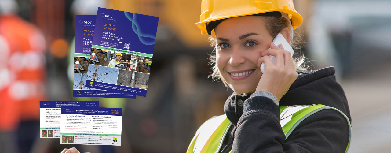 Pepco_WB_orderpg_slide_1125